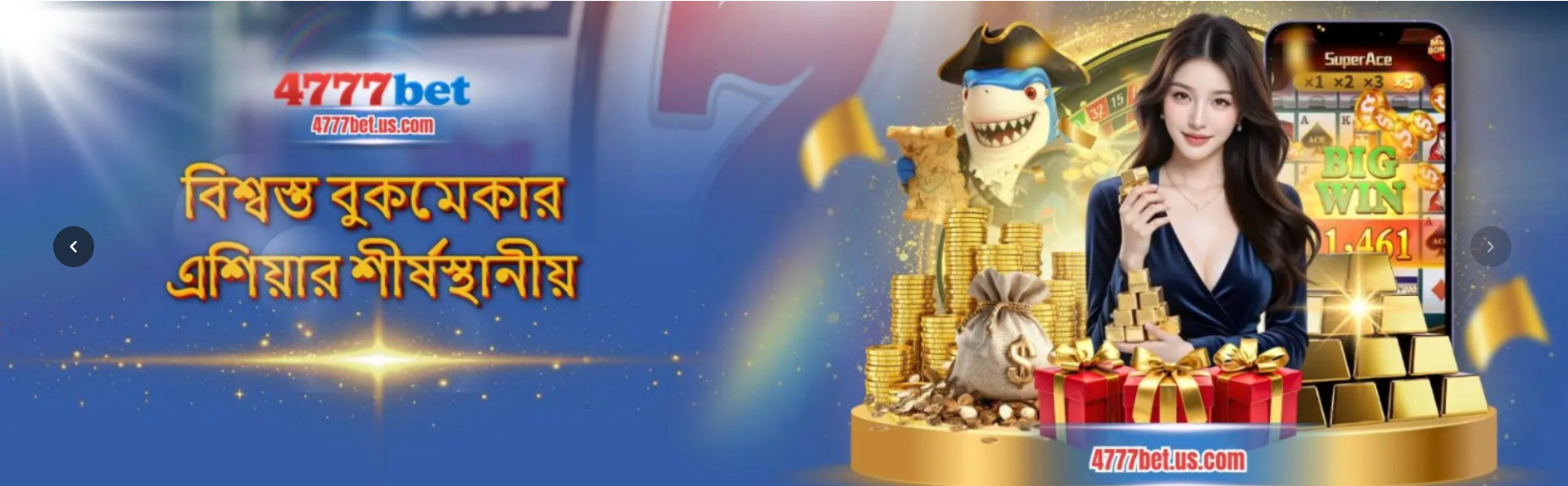 Profile banner