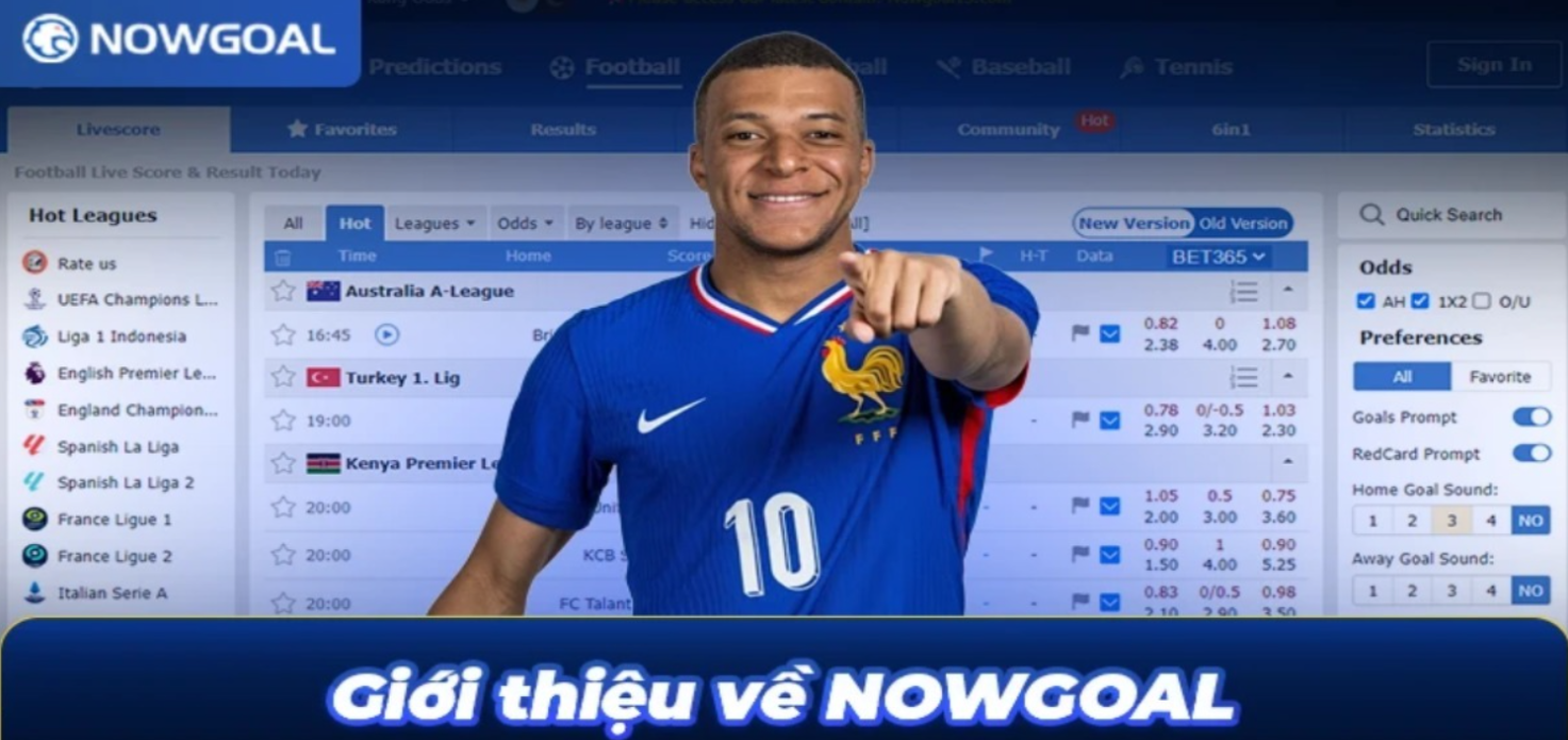 Profile banner