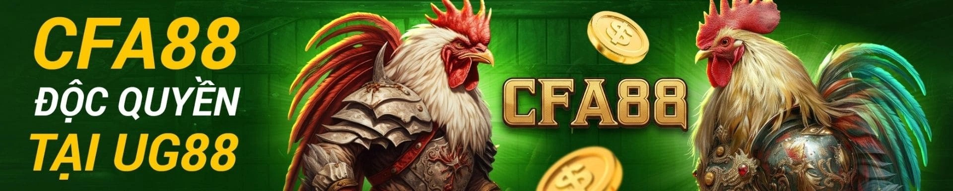 Profile banner