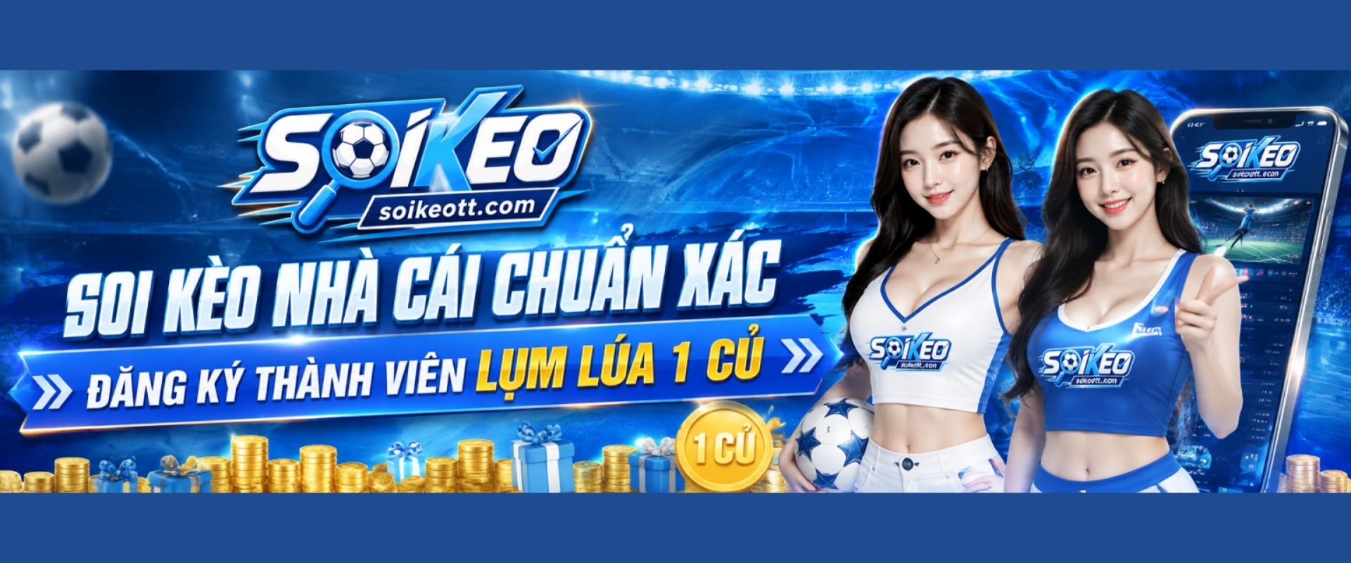 Profile banner