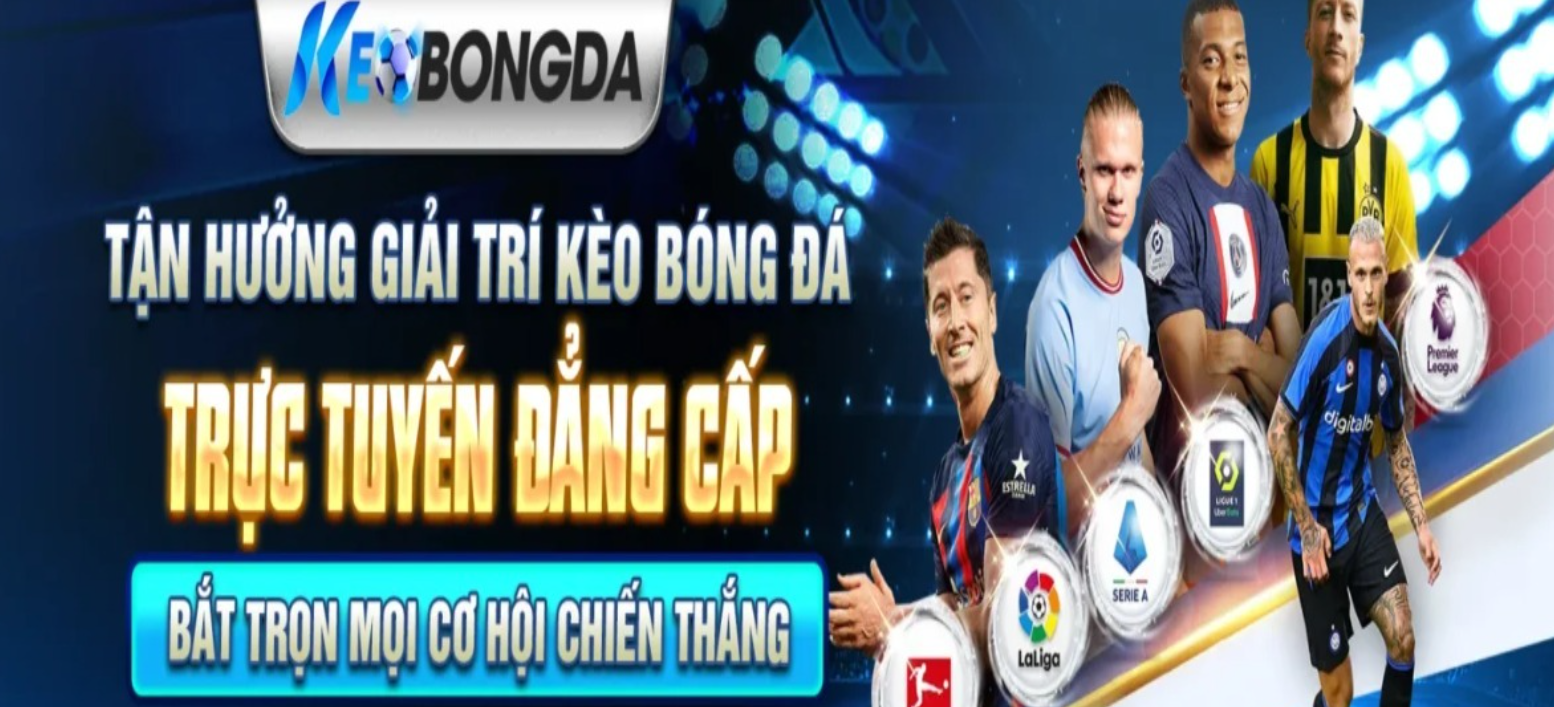 Profile banner