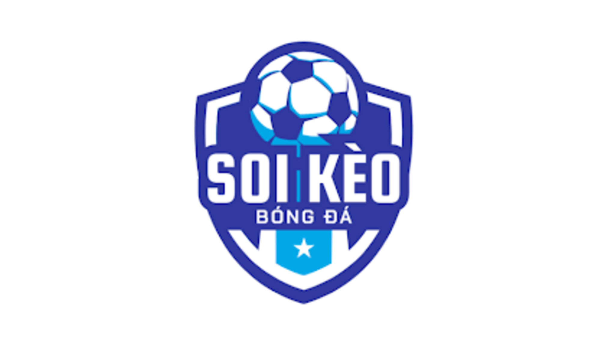 Profile banner