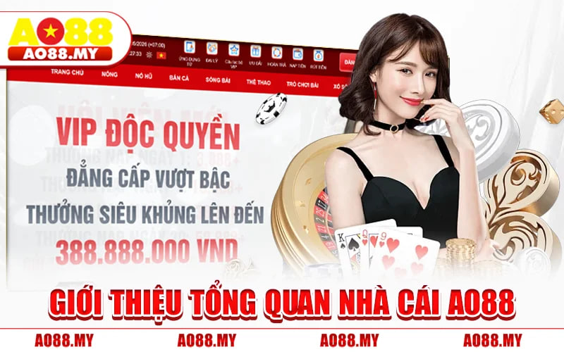 Profile banner