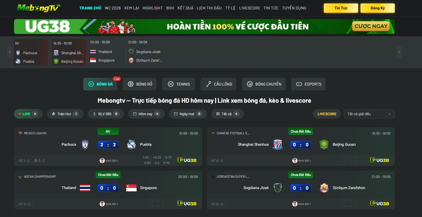 Profile banner