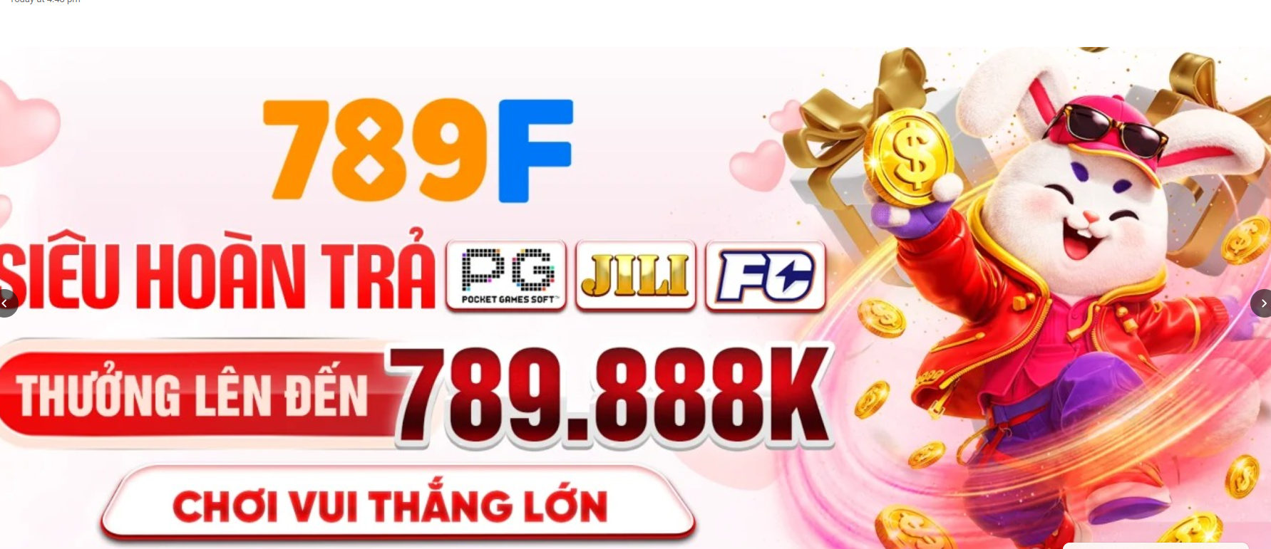 Profile banner