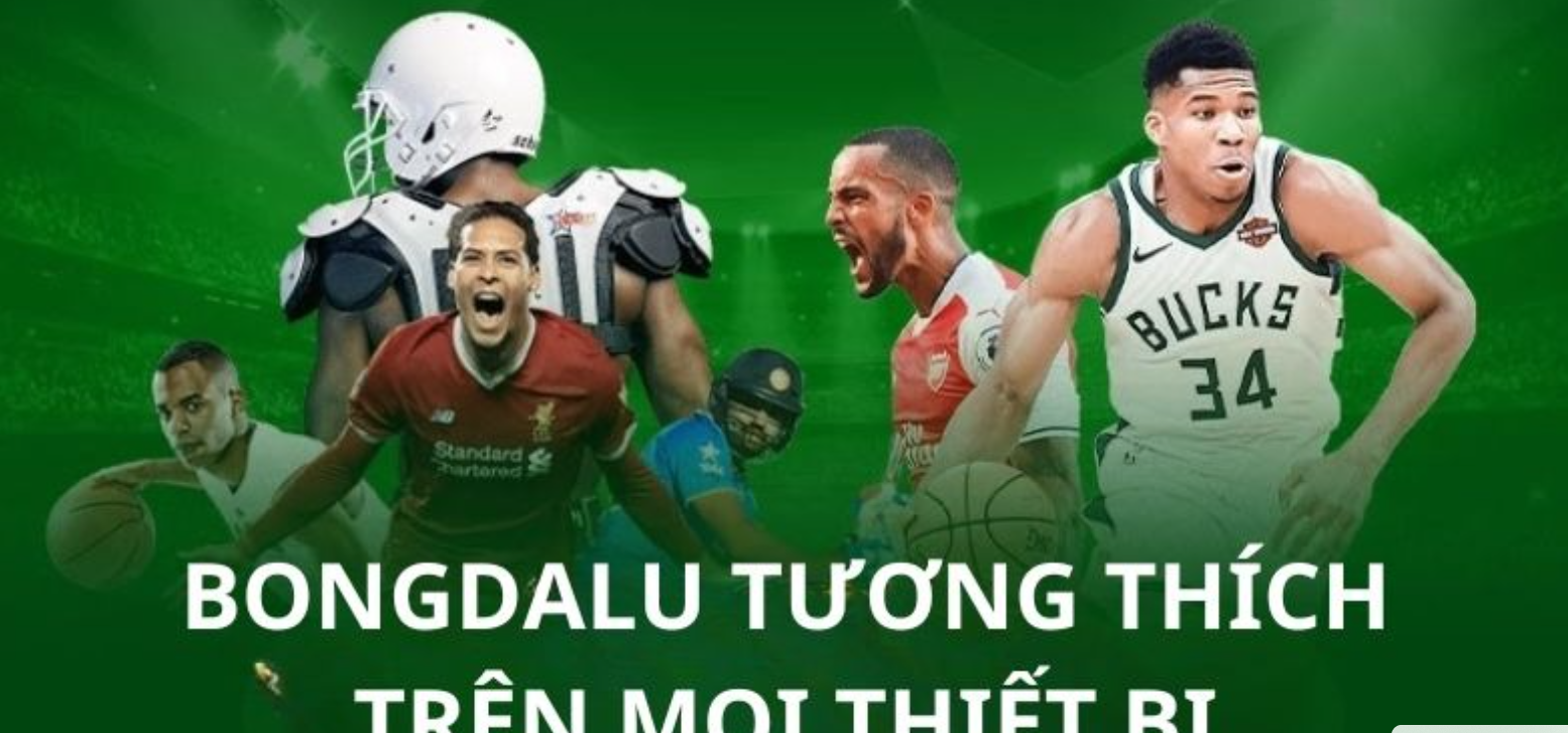 Profile banner