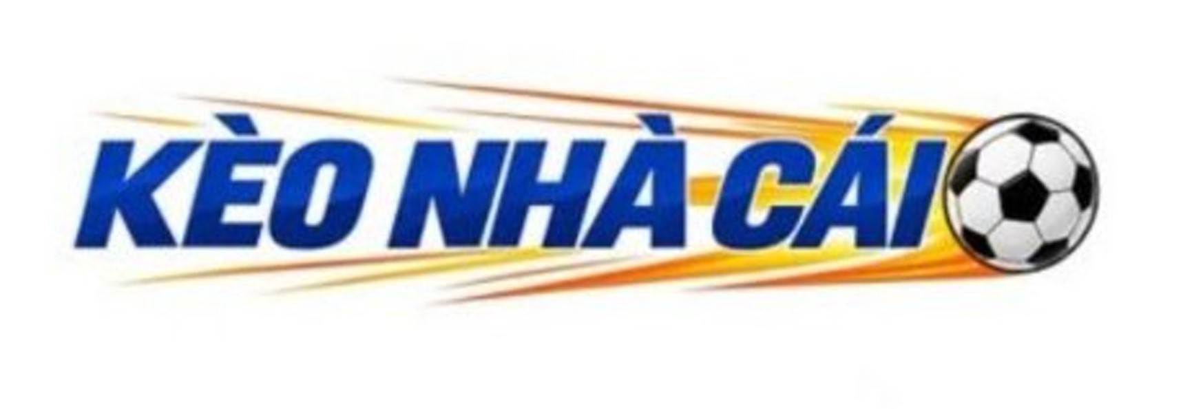 Profile banner
