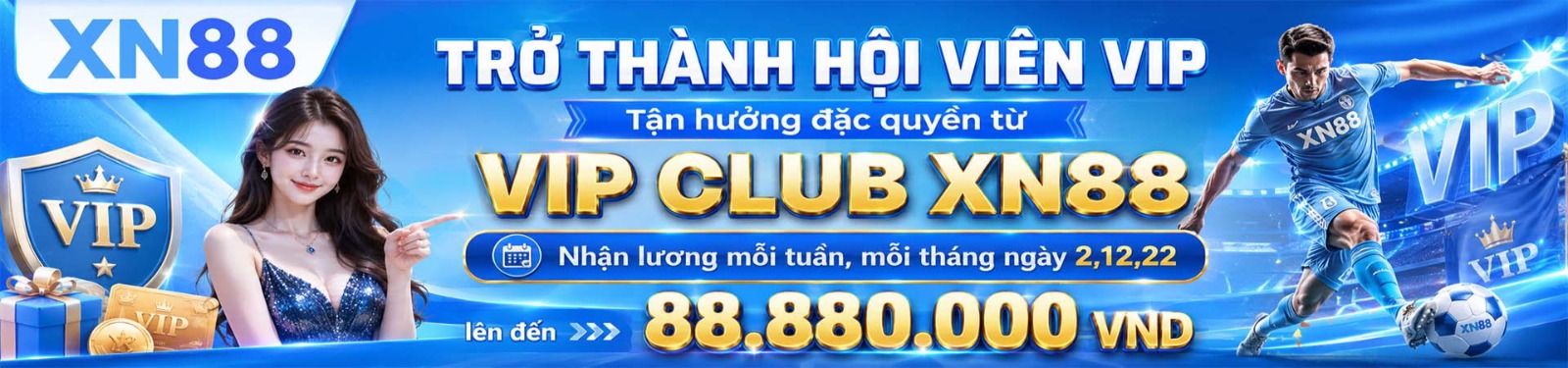 Profile banner