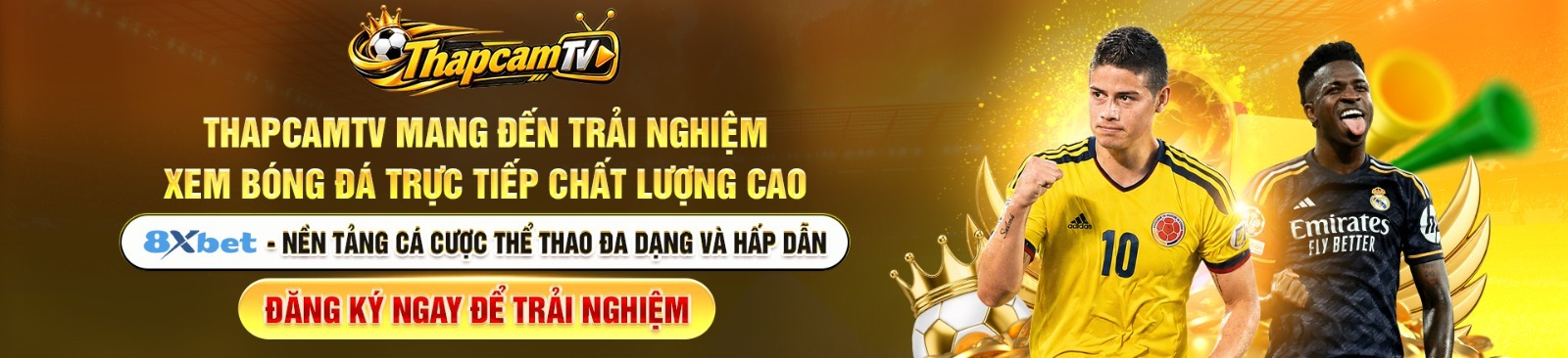 Profile banner