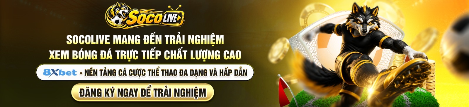 Profile banner