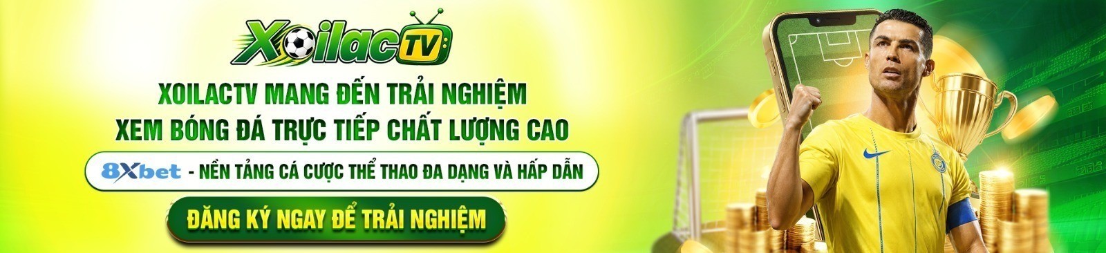 Profile banner