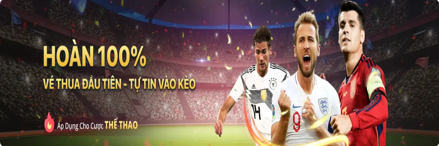 Profile banner
