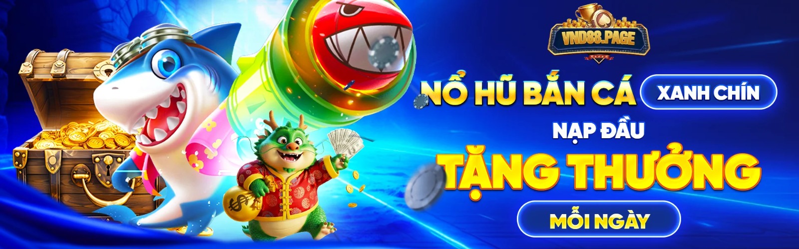 Profile banner