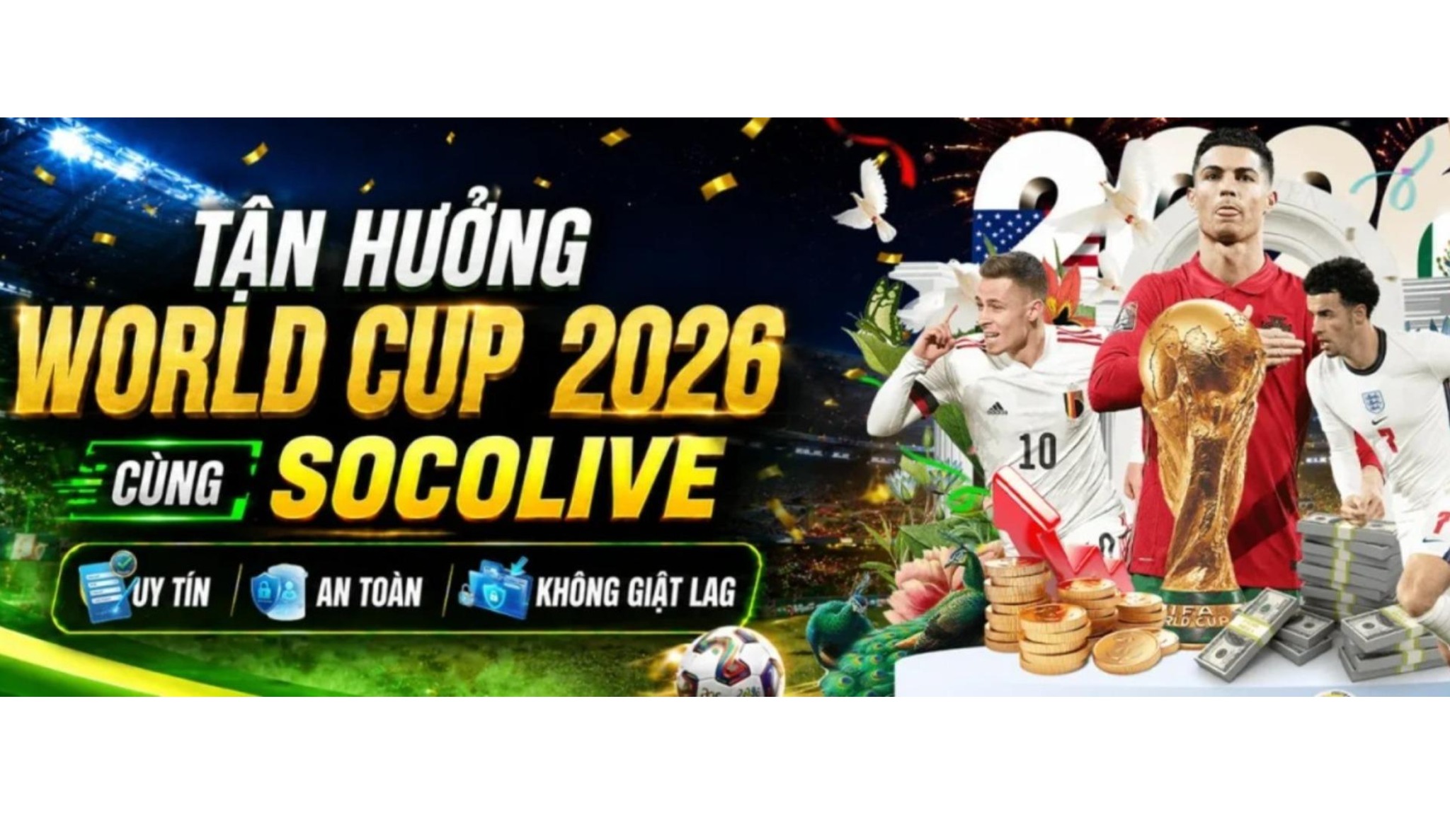 Profile banner