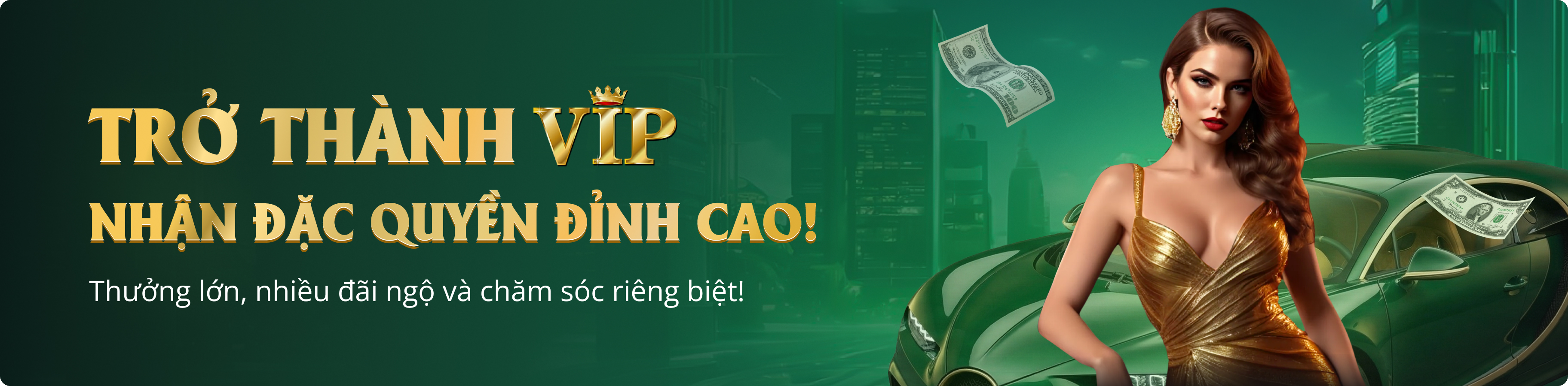 Profile banner