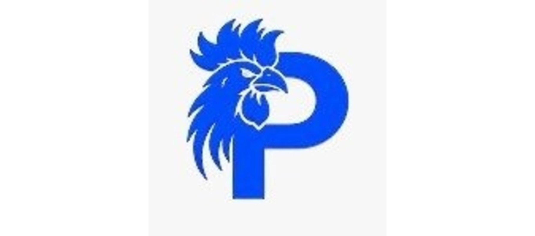 Profile banner