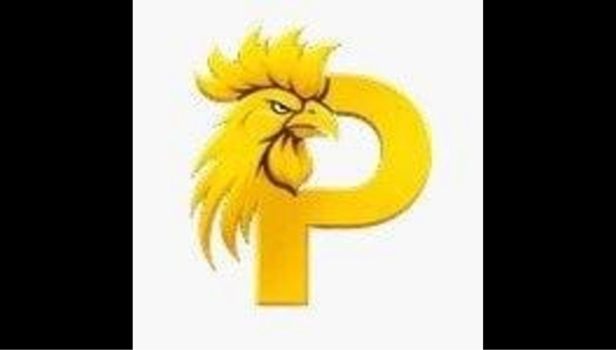Profile banner