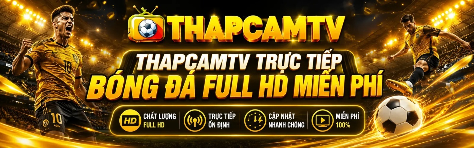 Profile banner