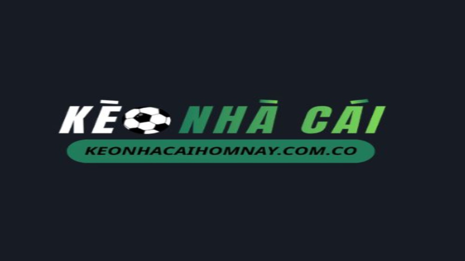 Profile banner