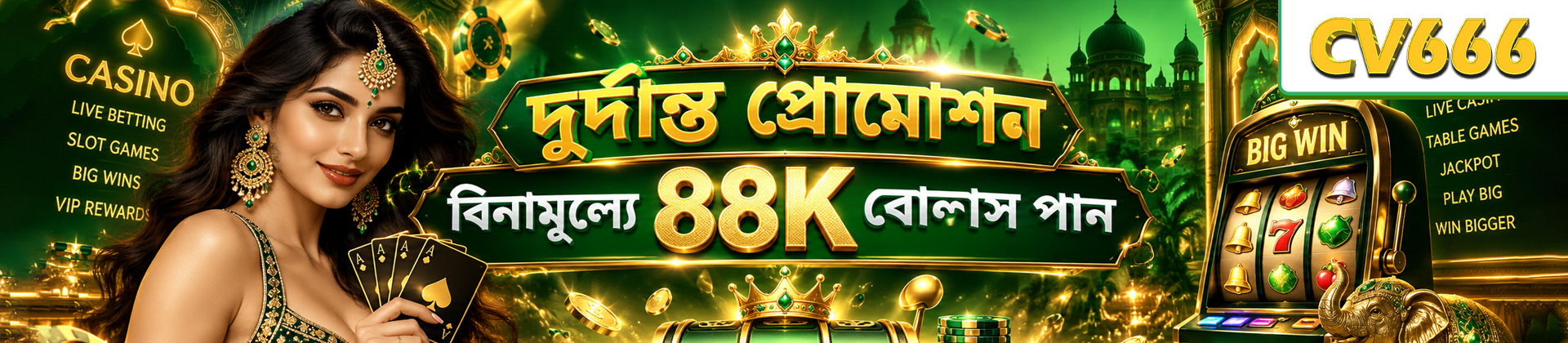 Profile banner