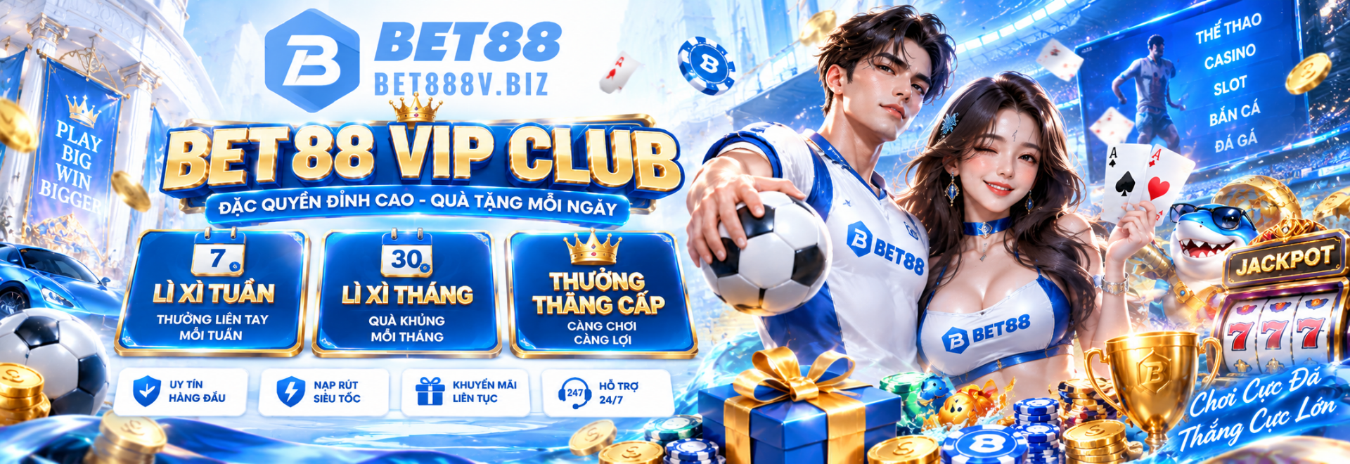 Profile banner