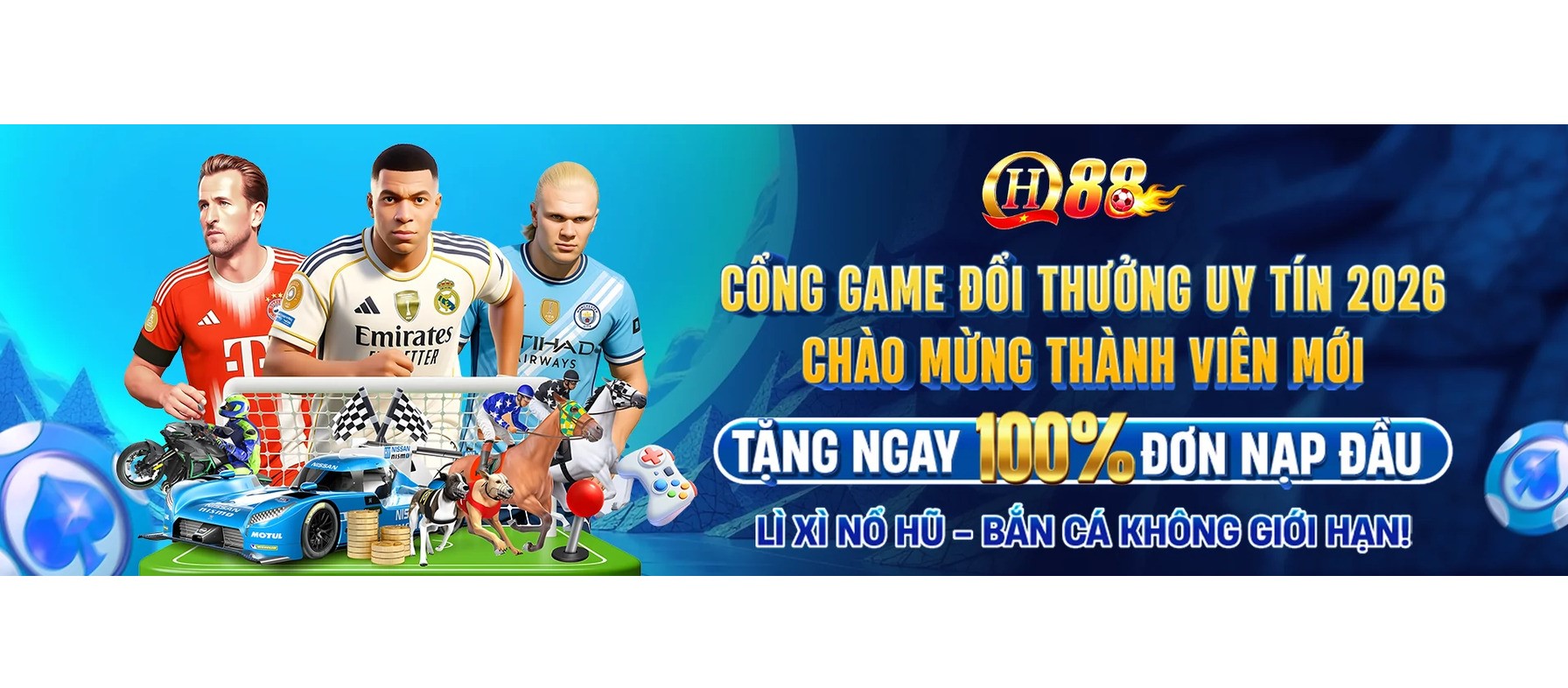Profile banner
