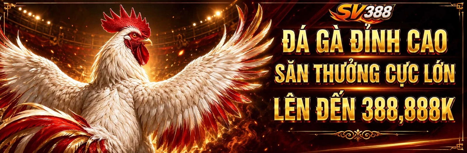 Profile banner