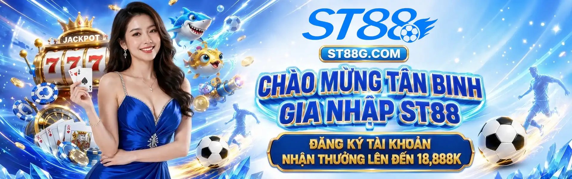 Profile banner