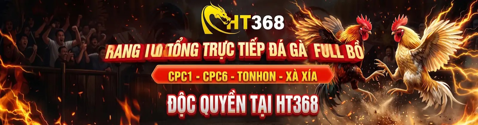Profile banner