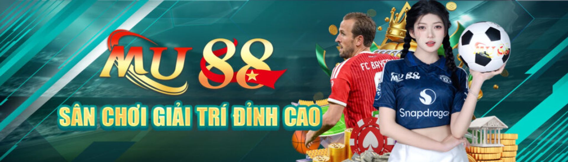 Profile banner