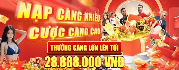 Profile banner
