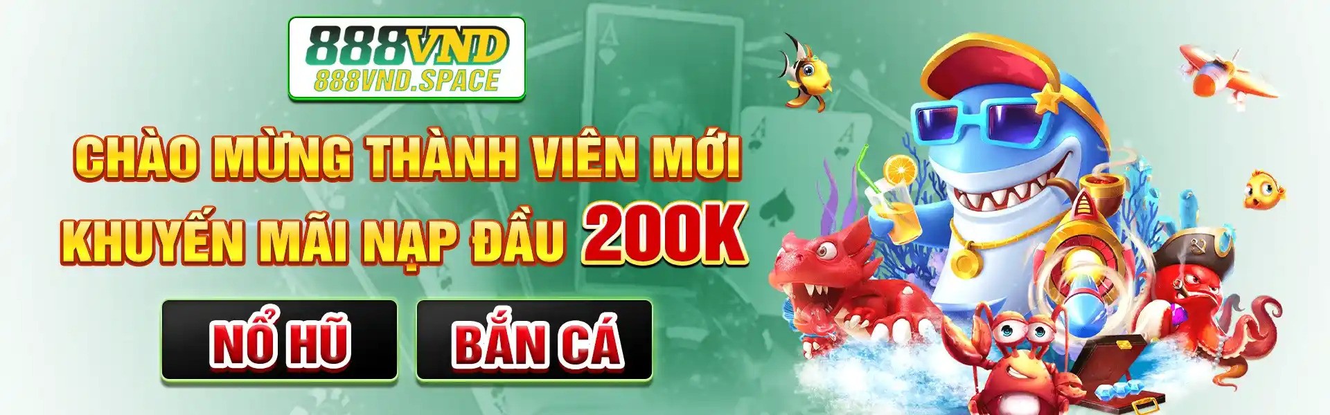 Profile banner