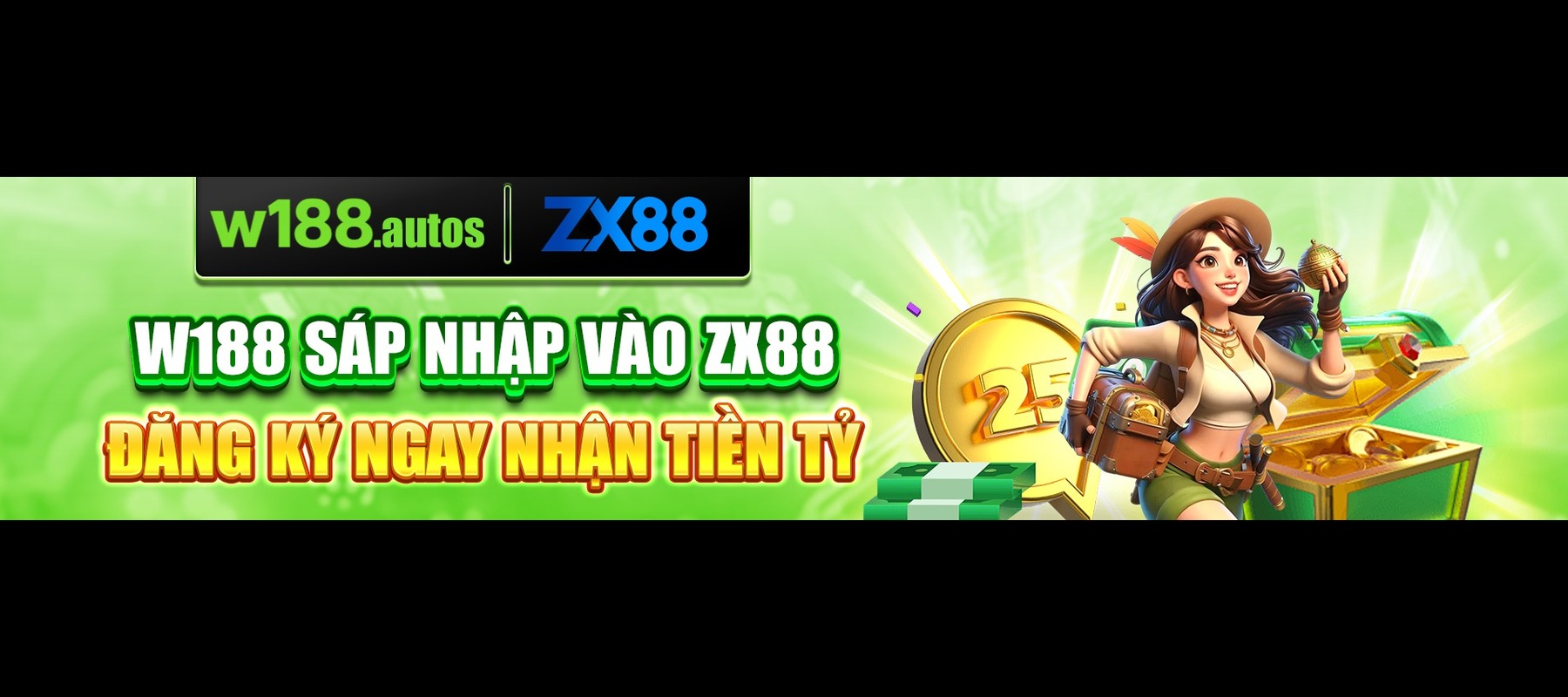 Profile banner