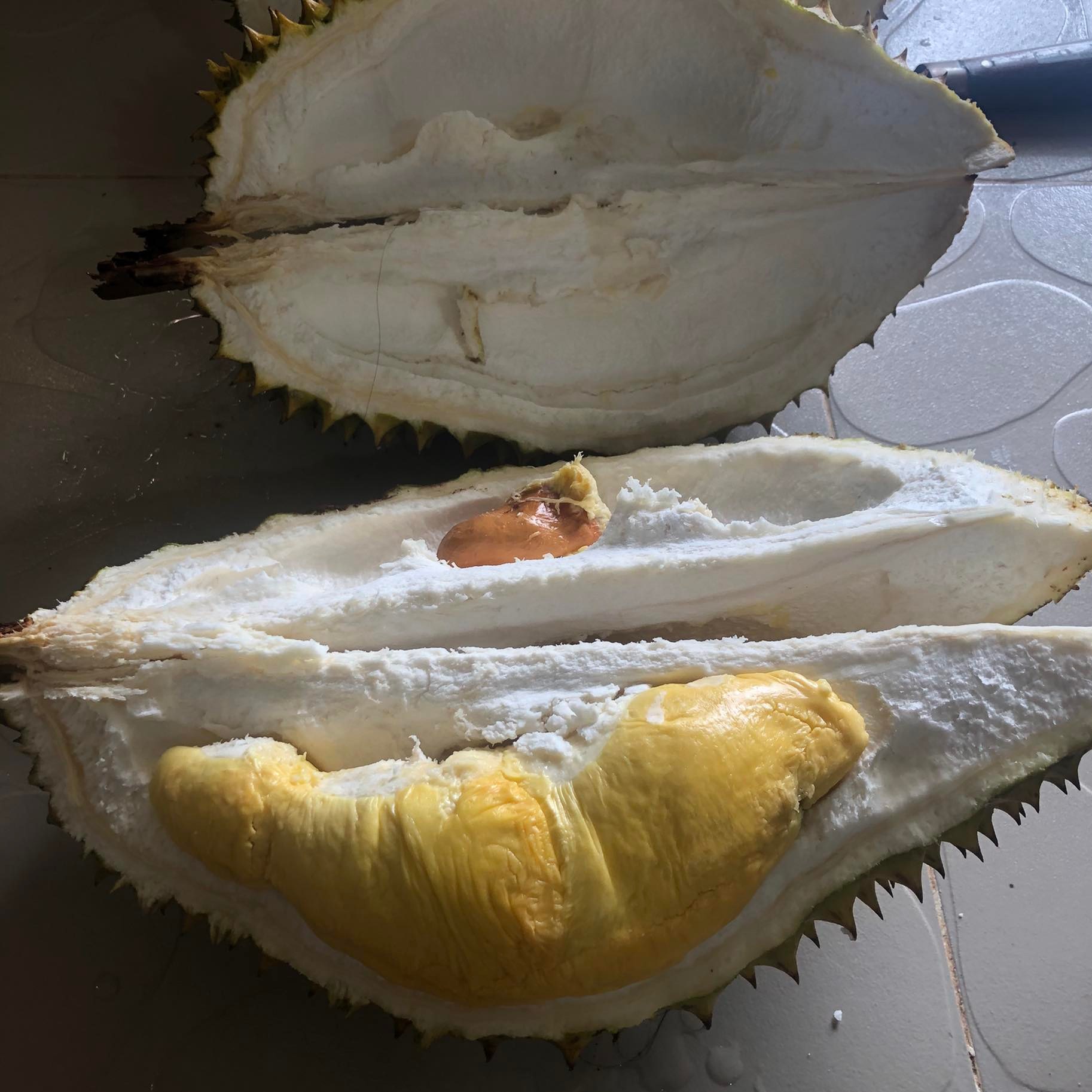 durian