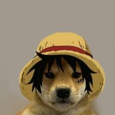 rodrigoblox
