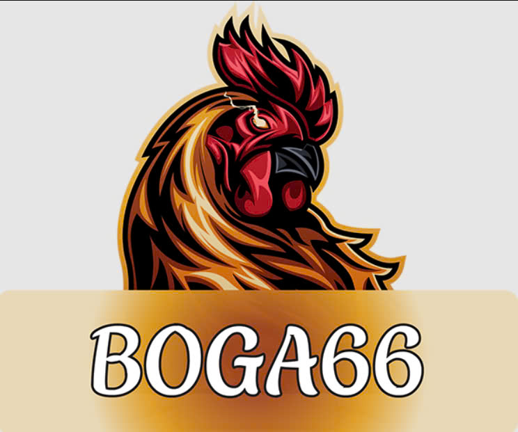 boga66casino
