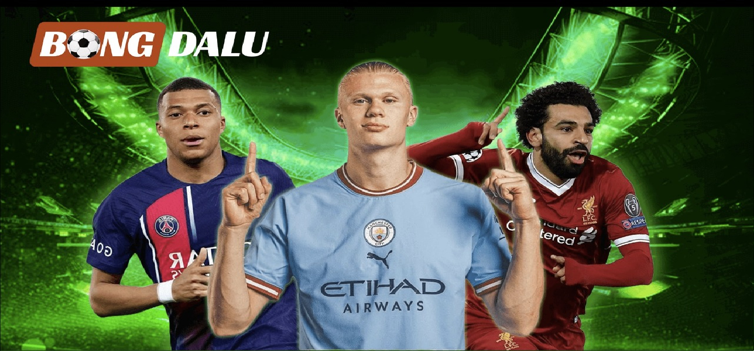 Profile banner