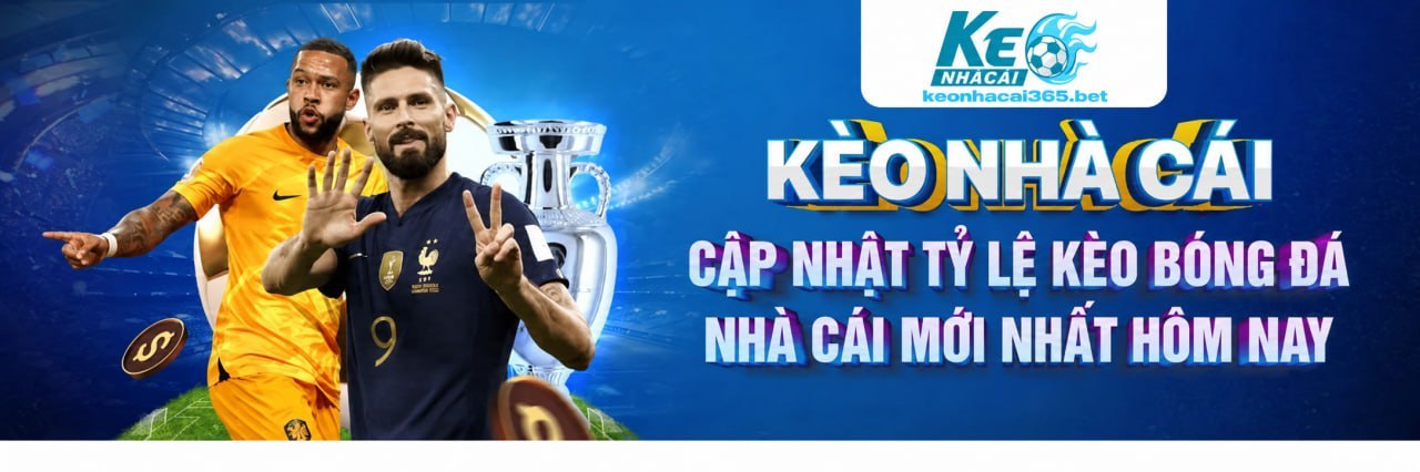 Profile banner