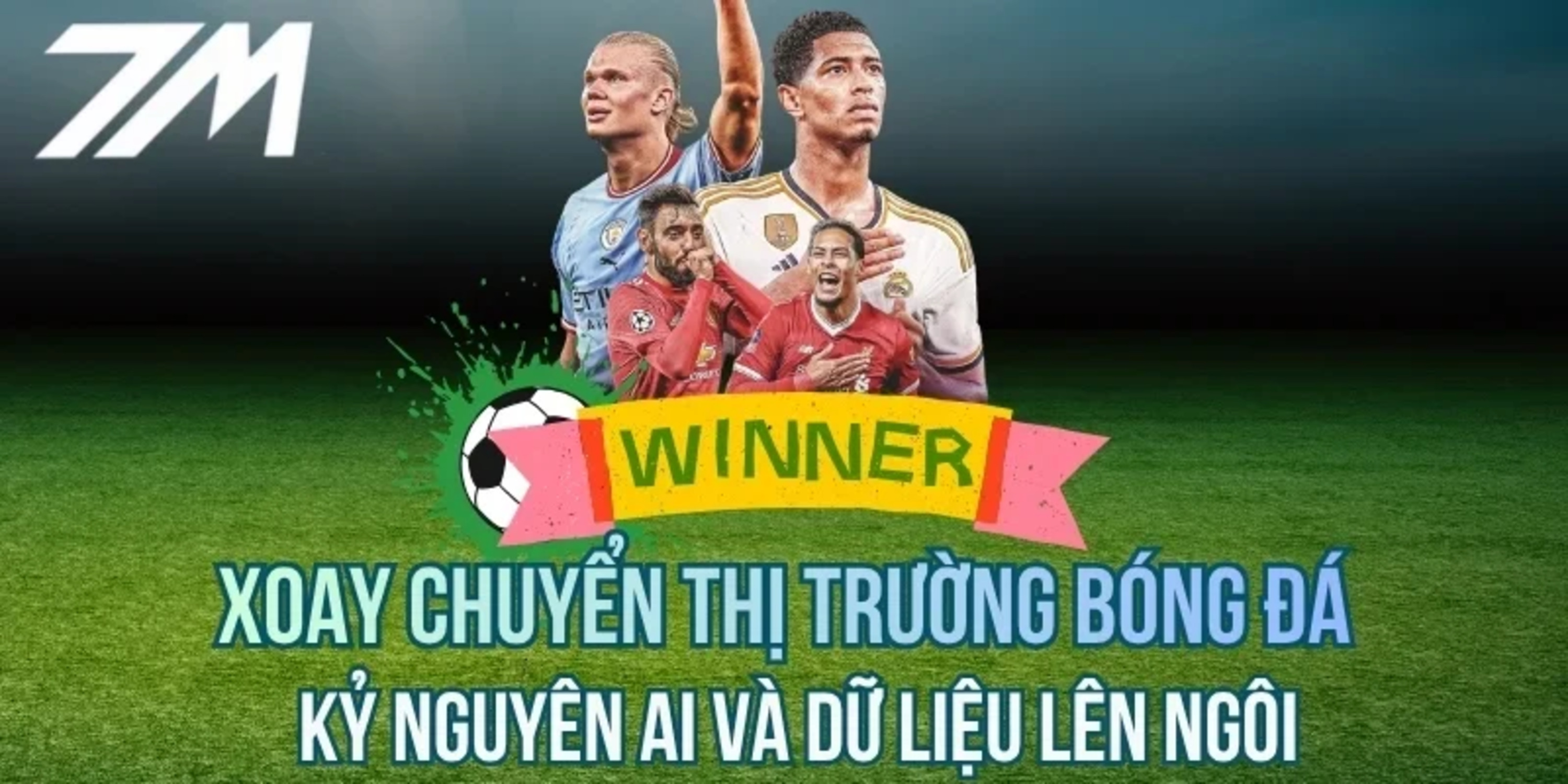 Profile banner