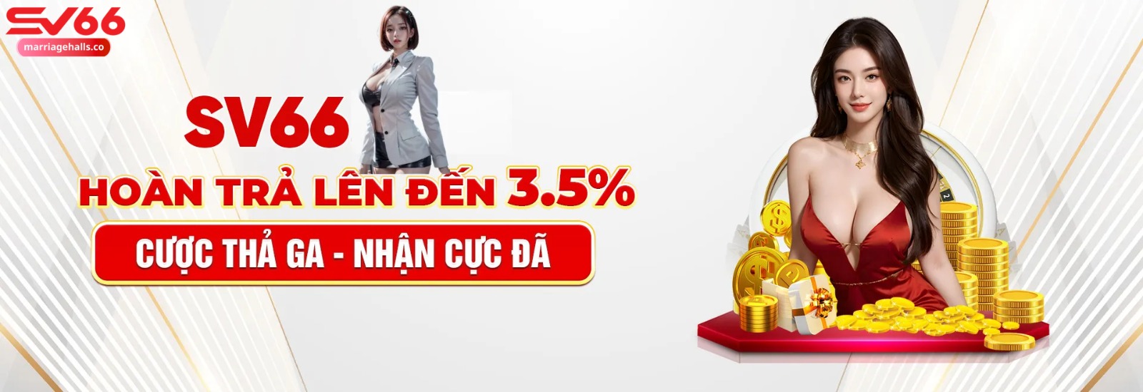 Profile banner