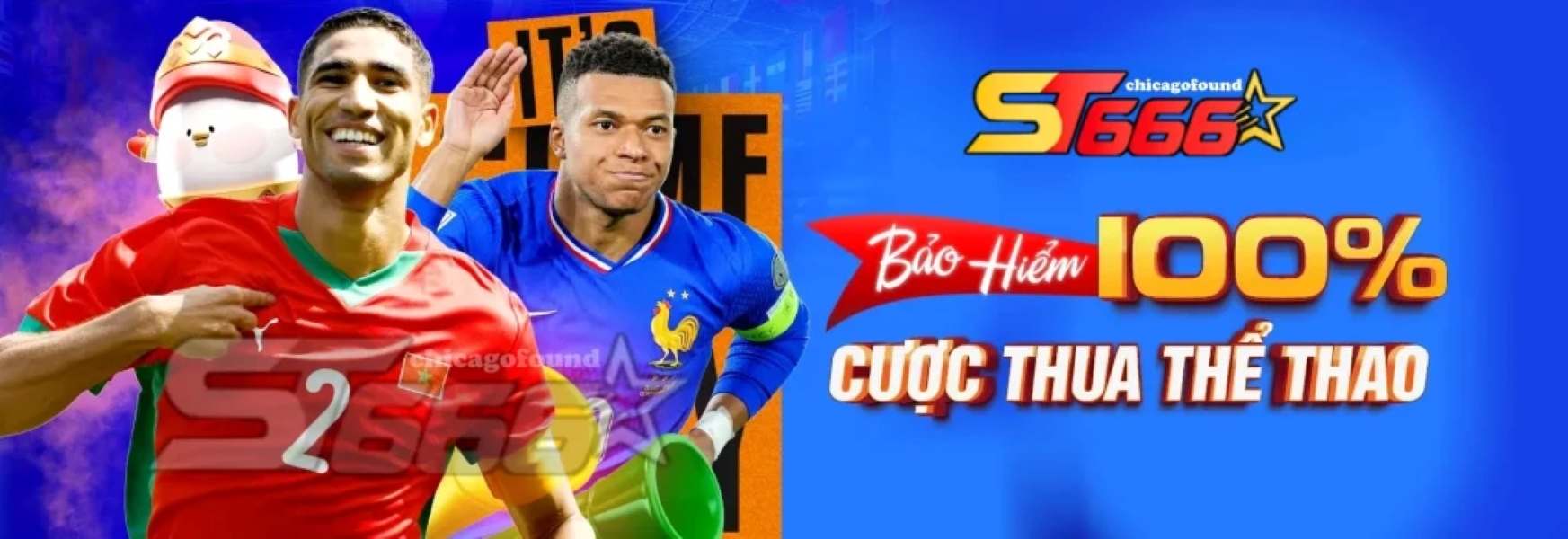 Profile banner