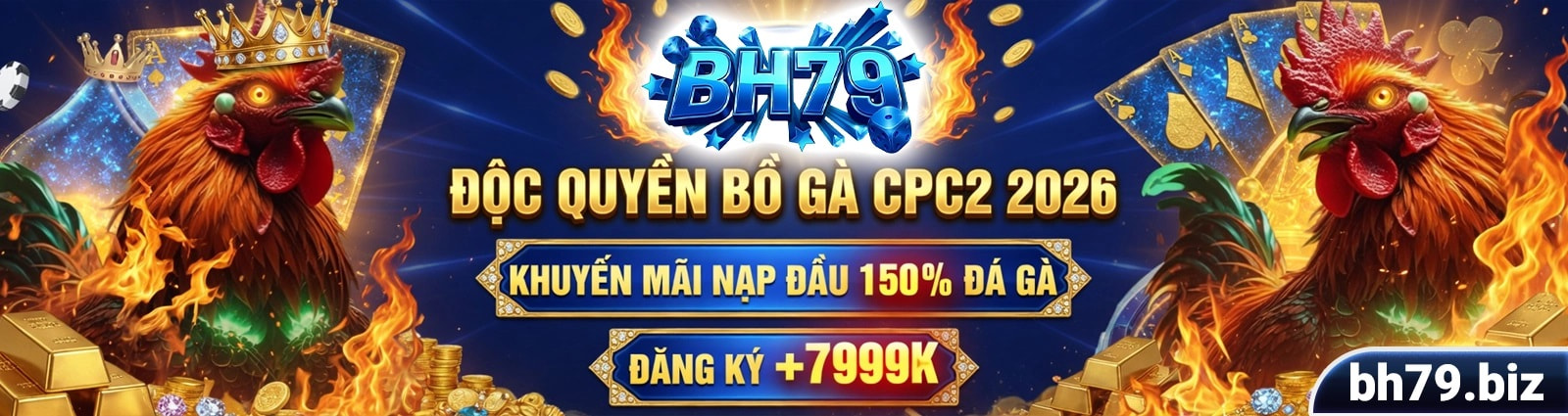 Profile banner