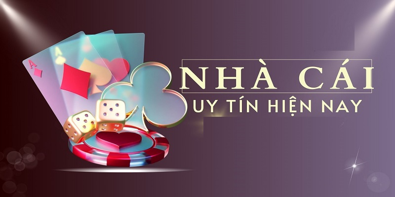 Profile banner