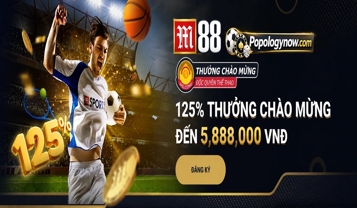 Profile banner