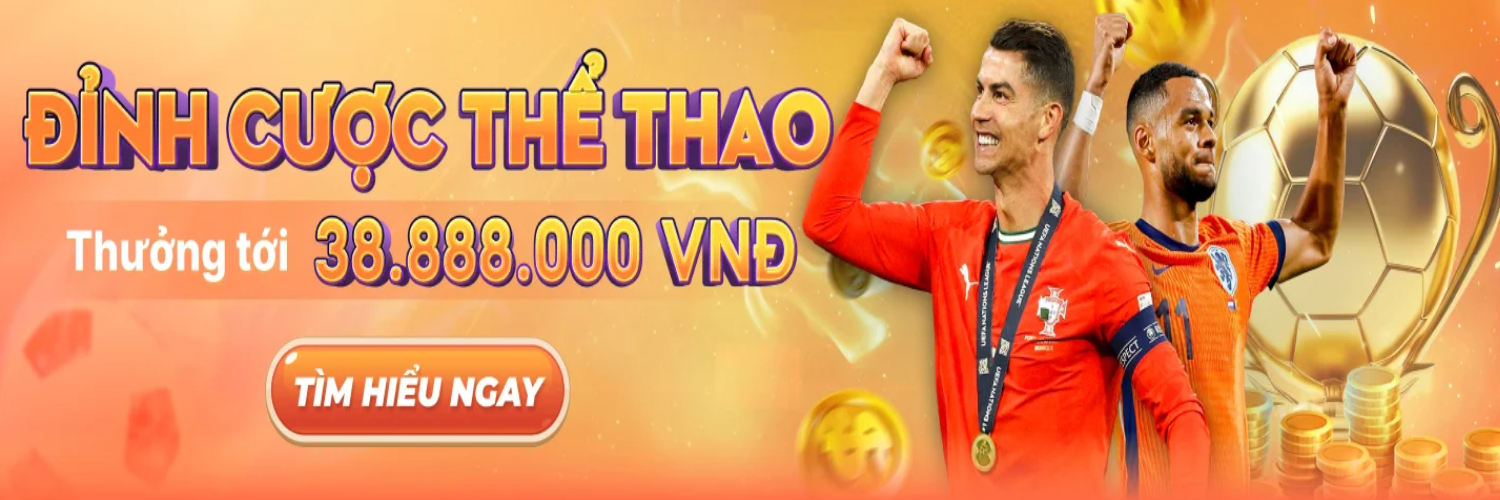 Profile banner