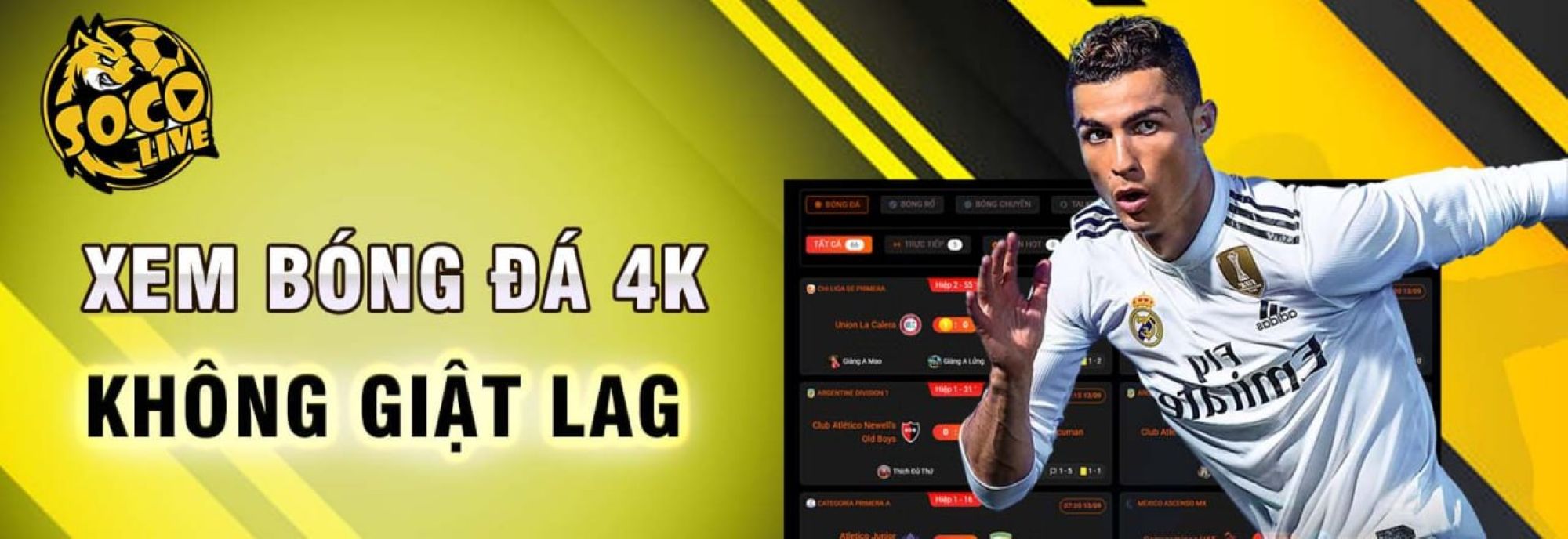 Profile banner