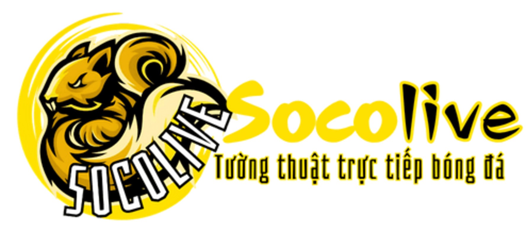 Profile banner