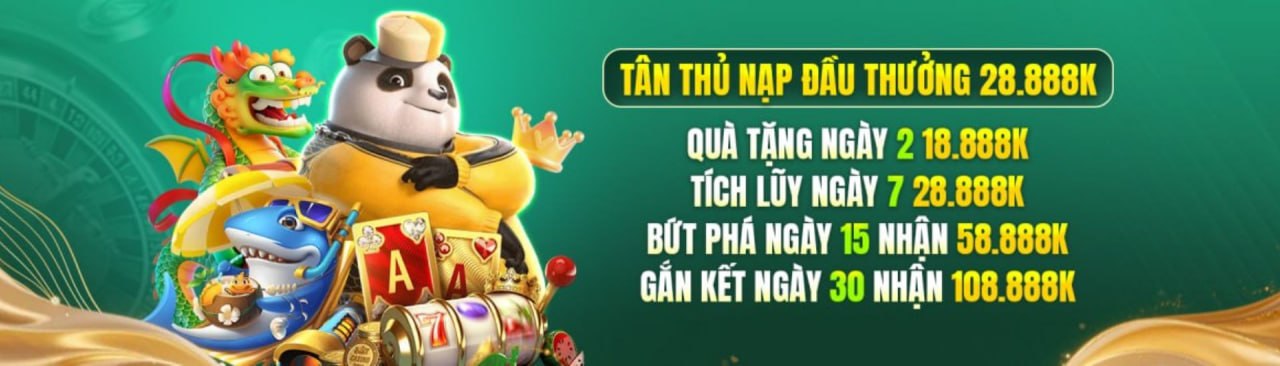 Profile banner