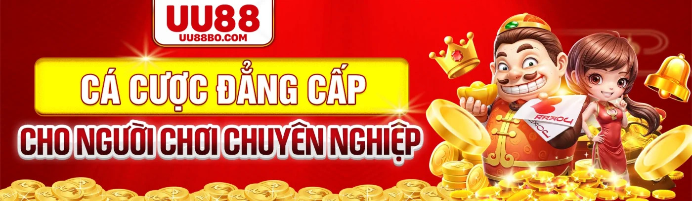Profile banner