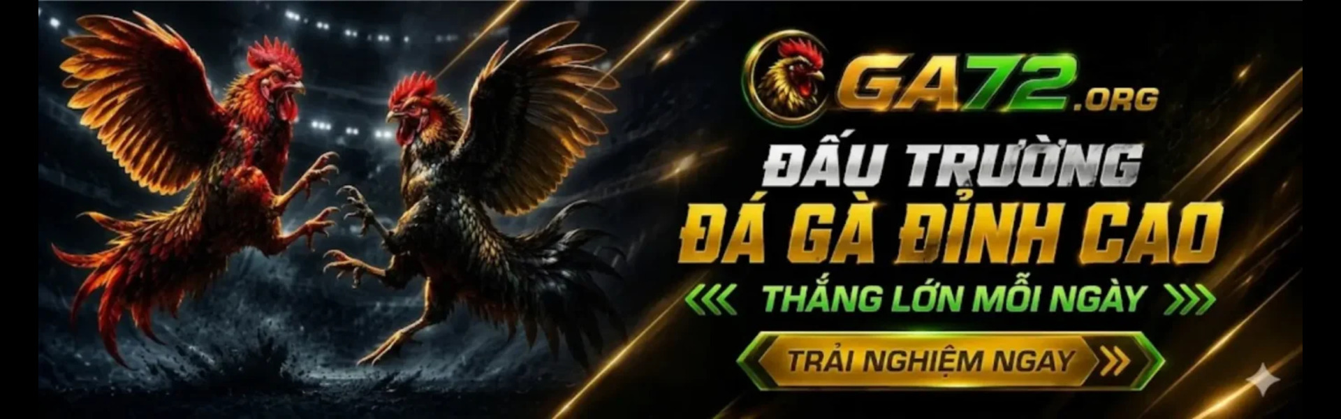 Profile banner